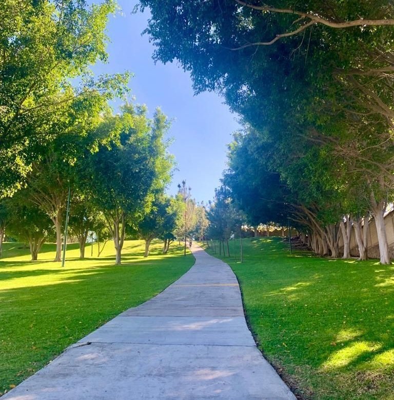 768